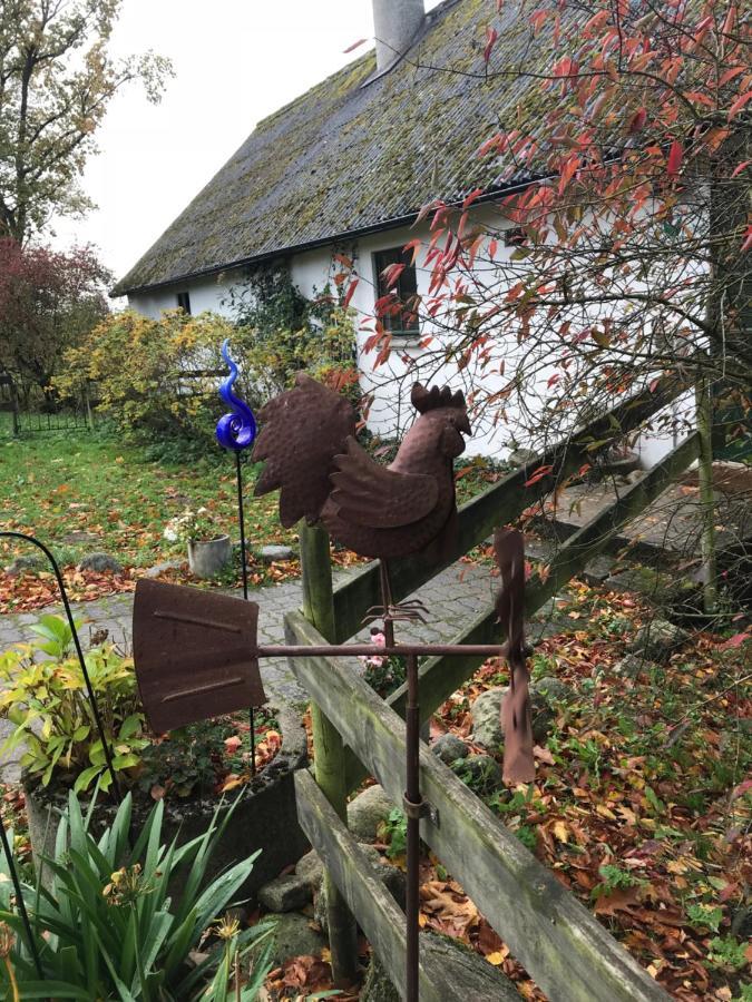 The Old Henhouse Bed and Breakfast Tollarp Eksteriør billede